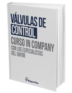 valvulas-de-control-curso-vaportec-231x300