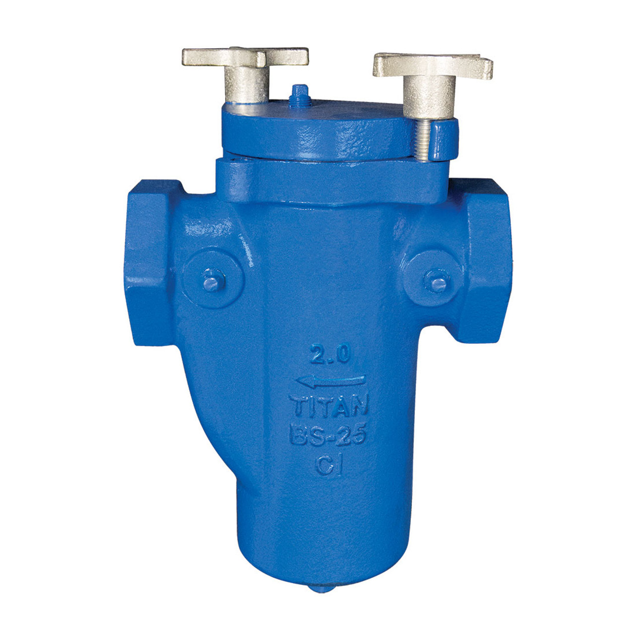 Filtro de canasta Titan BS25-CI - ASME Clase 125